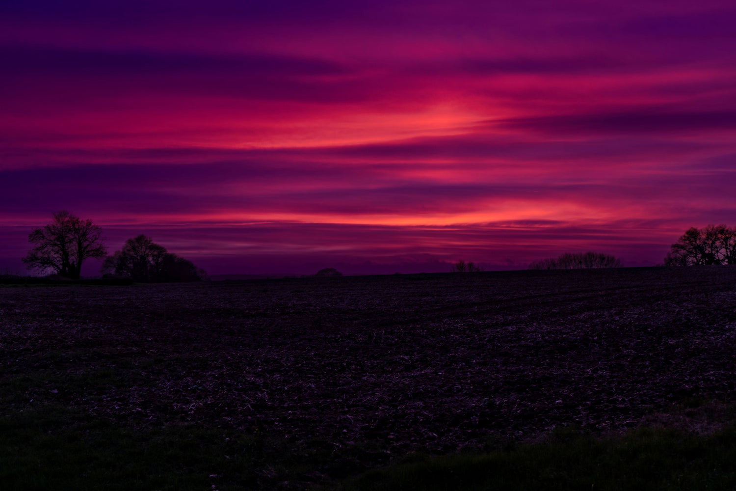 Twilight Dream