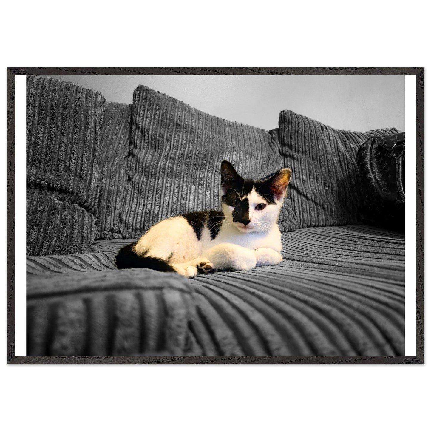 9fcd83ba-a38b-4f0d-8efe-26c899c93f90